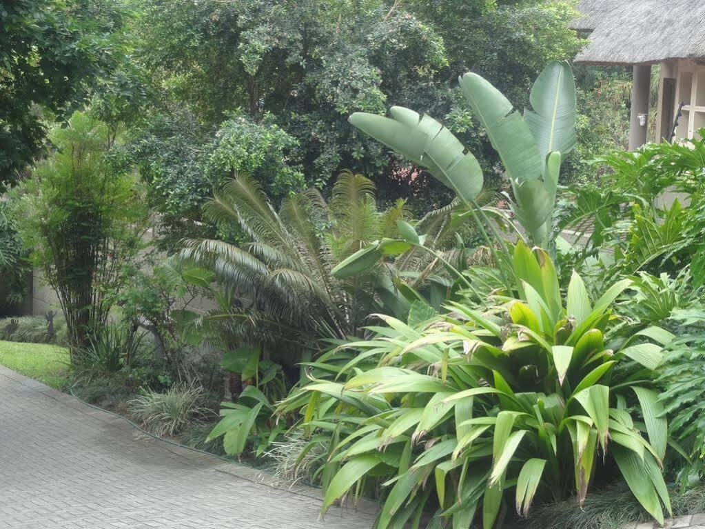 Mariu Upmarket Accommodation Mbombela Bagian luar foto